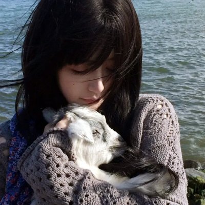 傲骨贤妻第七季